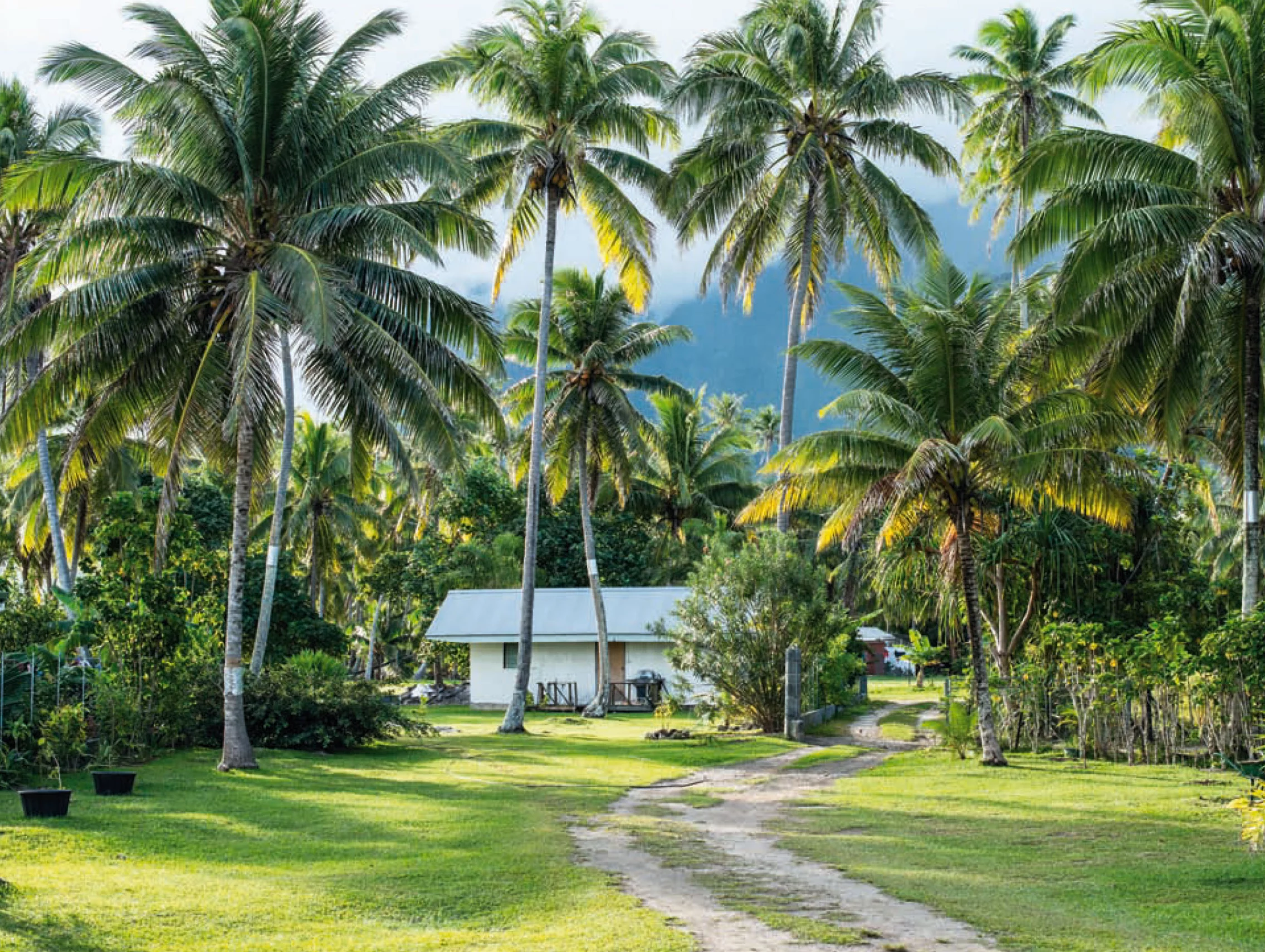 Surf Spot Check: Moorea im Südpazifik