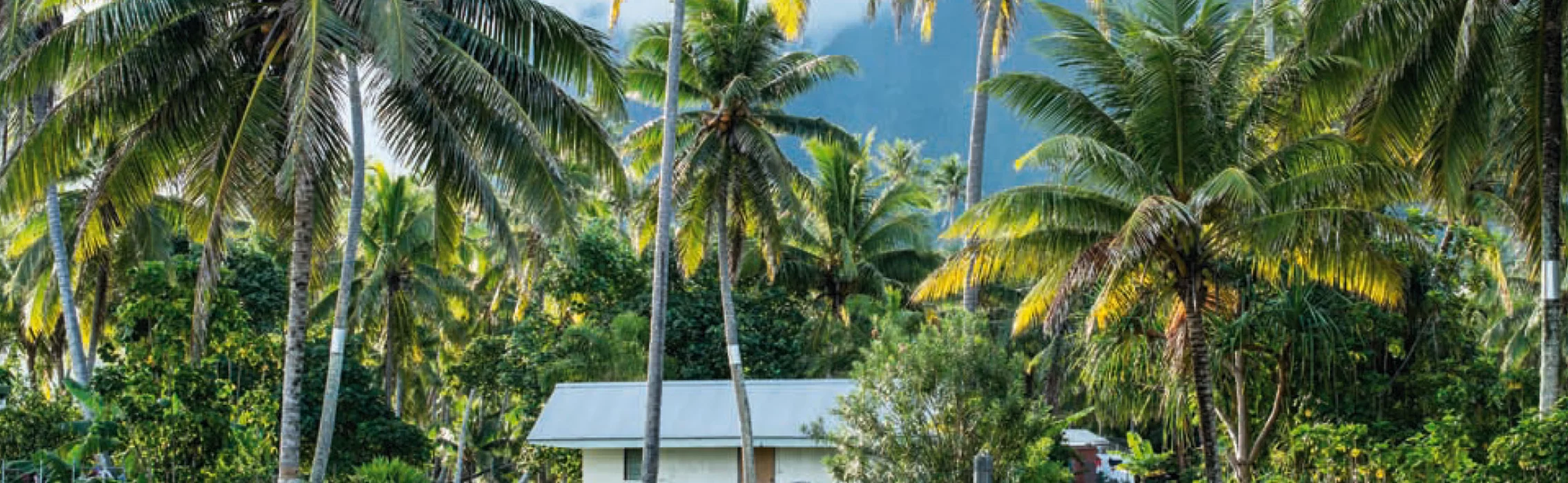 Surf Spot Check: Moorea im Südpazifik