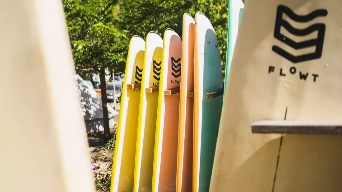 surfboards in a line