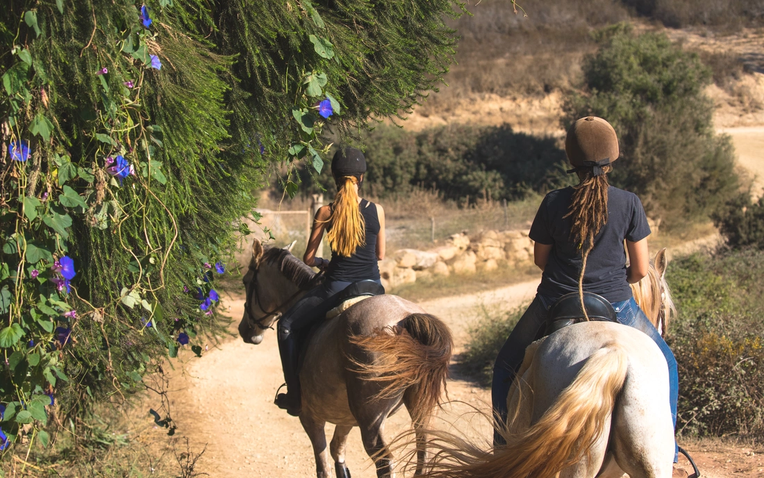 horse riding in surf camp algarve