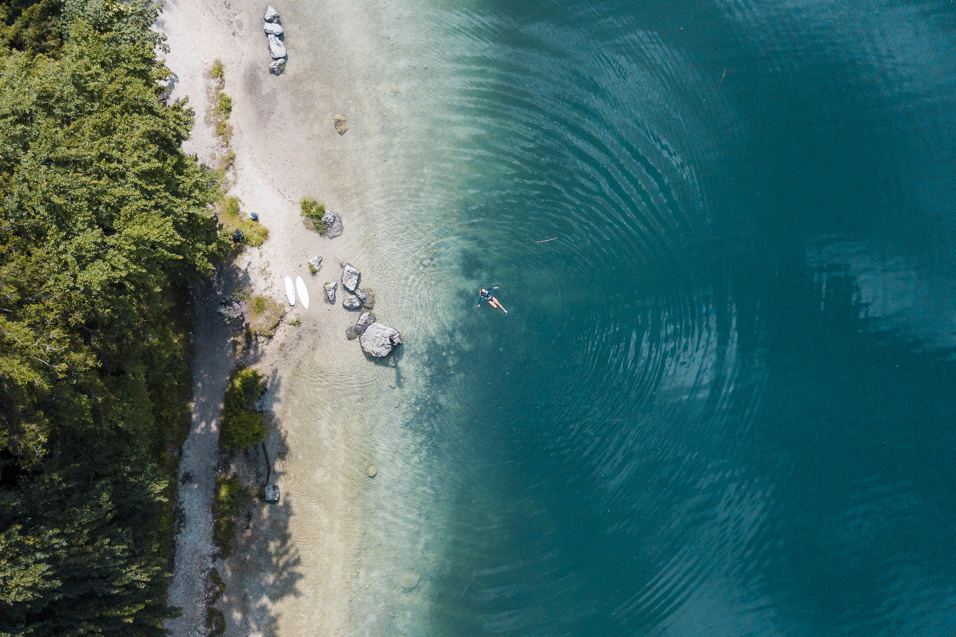 Strand mit Palmen von oben